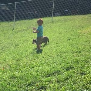 Meet your Posher, Paco